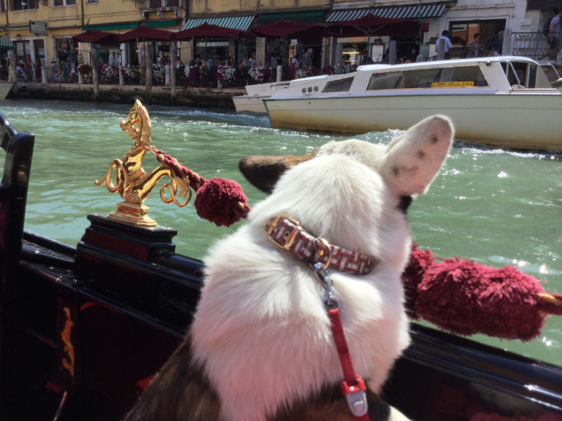 Мистер Чукен’с холлидей