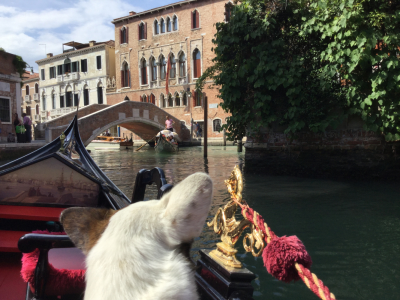 Мистер Чукен’с холлидей