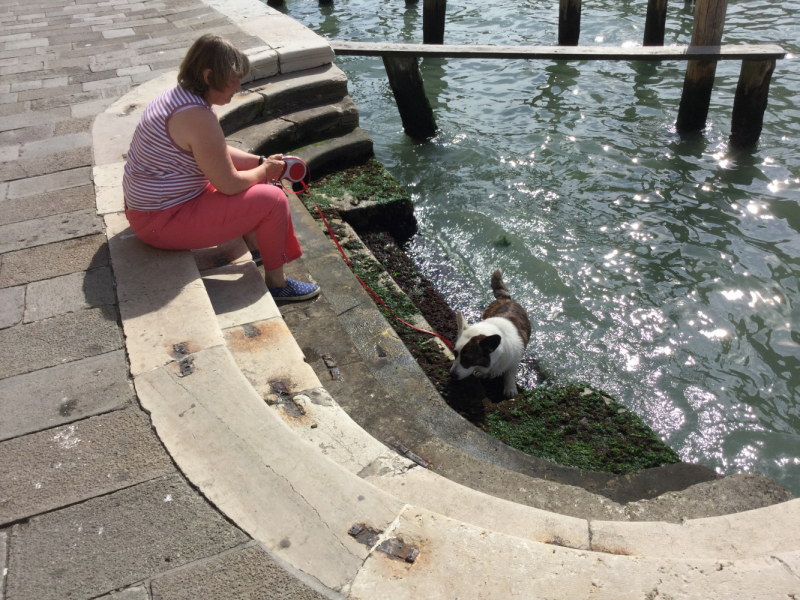 Мистер Чукен’с холлидей