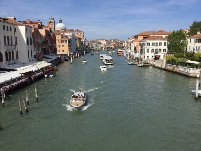 Мистер Чукен’с холлидей