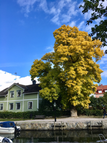 Городок в табакерке - пригороды Стокгольма 2019.
