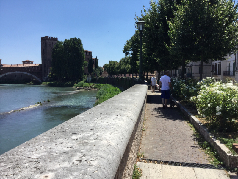 Мистер Чукен’с холлидей