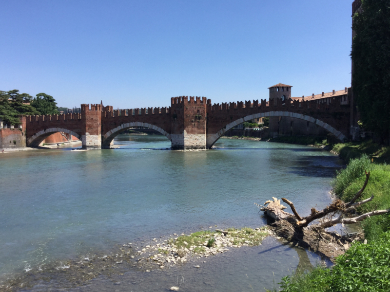 Мистер Чукен’с холлидей