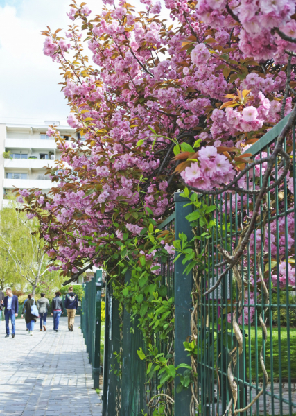 Весна в Стране Басков, Нор-Па-де-Кале и Париже