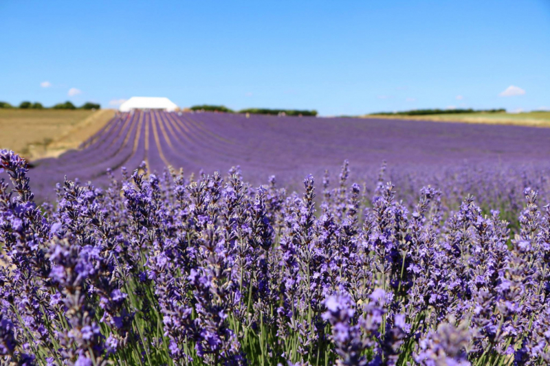 «Что-то пошло не так» – автотрип по Европе-2019, вопреки обстоятельствам.