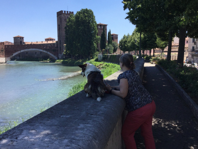 Мистер Чукен’с холлидей