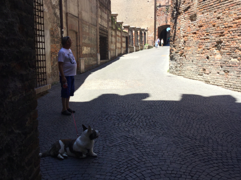 Мистер Чукен’с холлидей