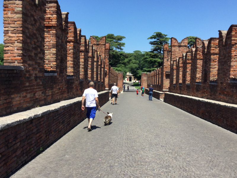 Мистер Чукен’с холлидей