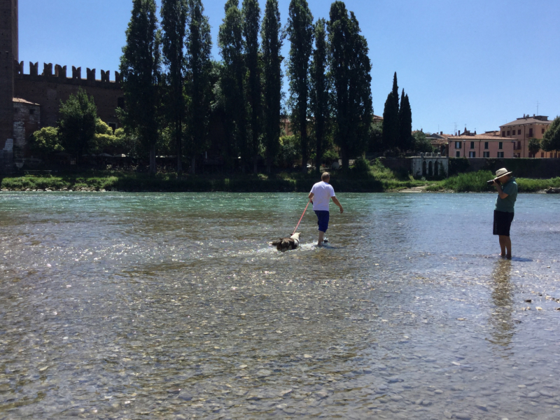 Мистер Чукен’с холлидей