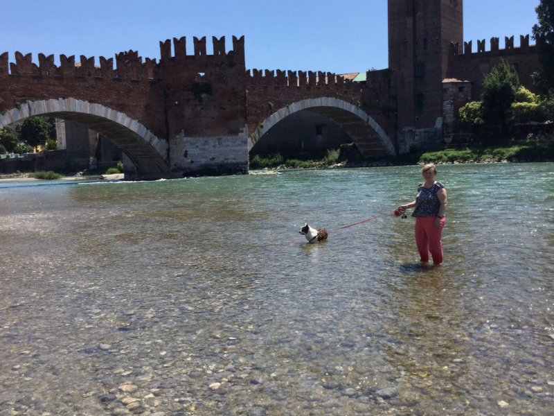 Мистер Чукен’с холлидей