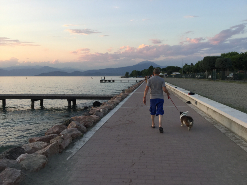 Мистер Чукен’с холлидей