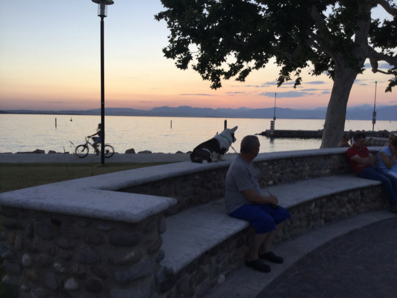 Мистер Чукен’с холлидей