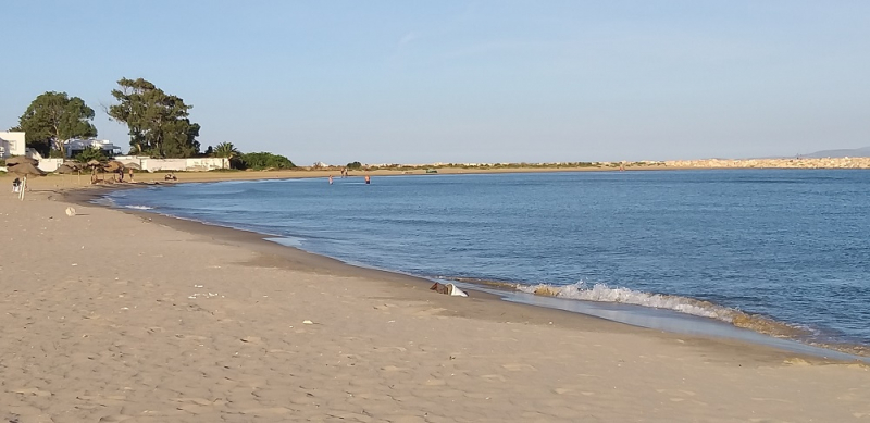 Брюнетка пришла на городской пляж