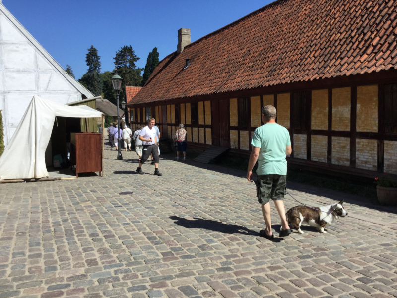 Мистер Чукен’с холлидей