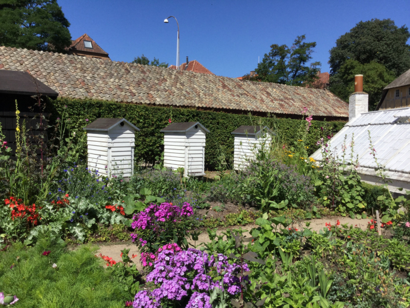 Мистер Чукен’с холлидей