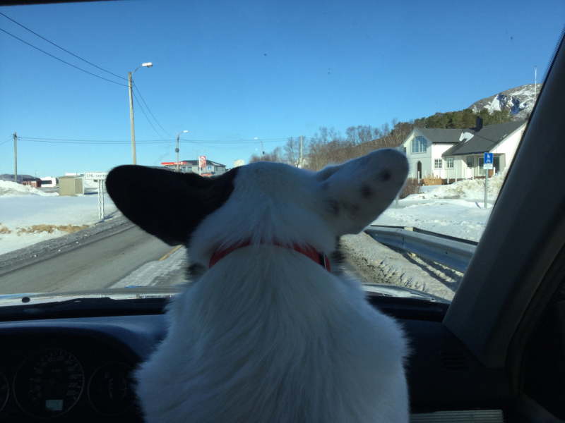 Мистер Чукен’с холлидей