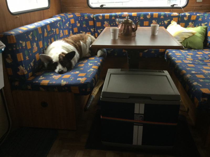 Мистер Чукен’с холлидей