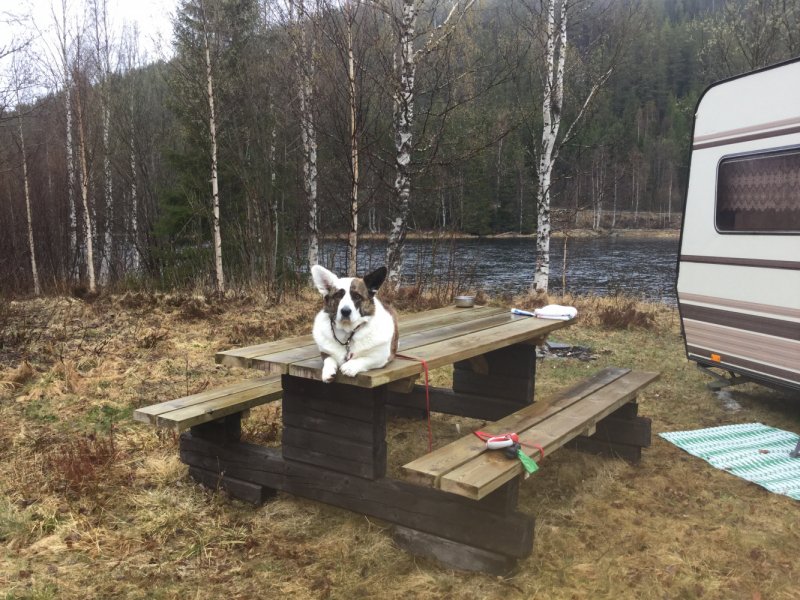 Мистер Чукен’с холлидей