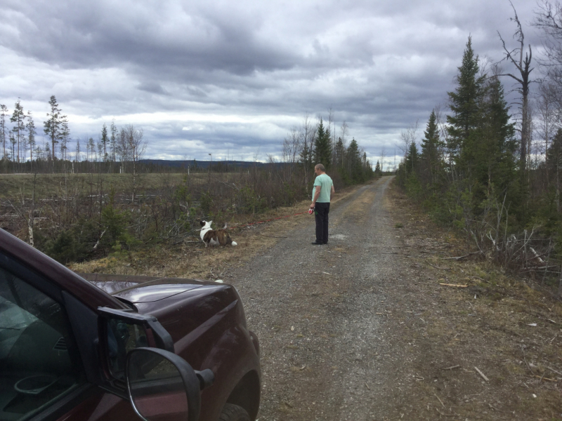 Мистер Чукен’с холлидей