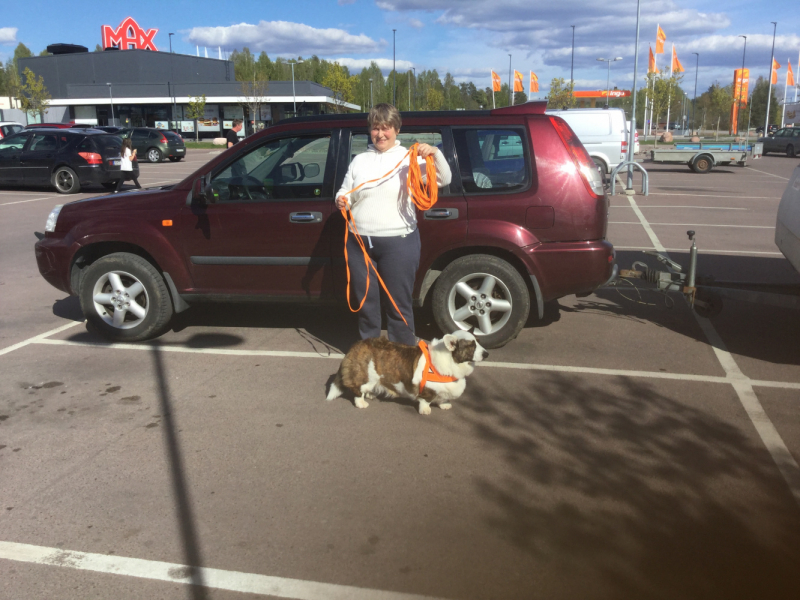 Мистер Чукен’с холлидей