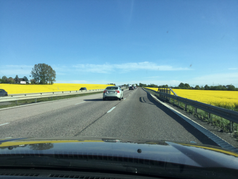 Мистер Чукен’с холлидей