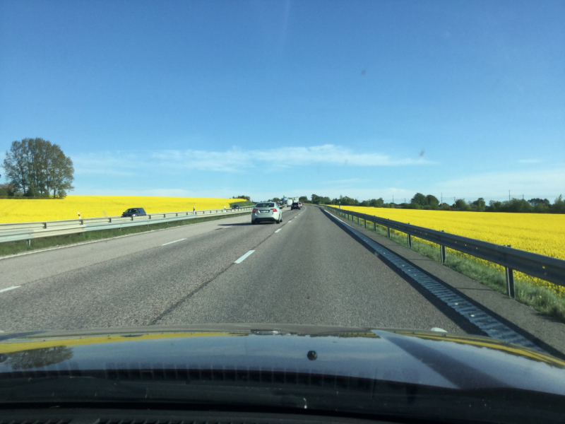 Мистер Чукен’с холлидей