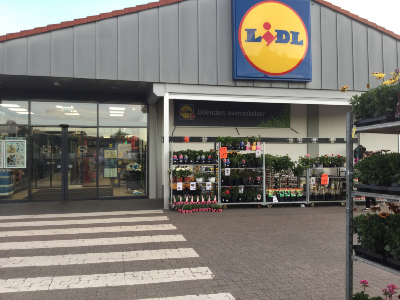 Мистер Чукен’с холлидей