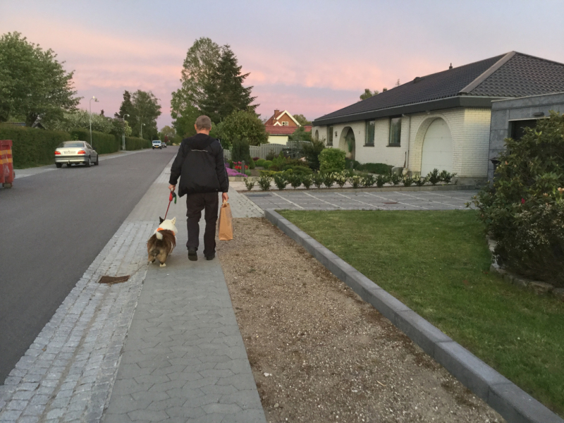 Мистер Чукен’с холлидей