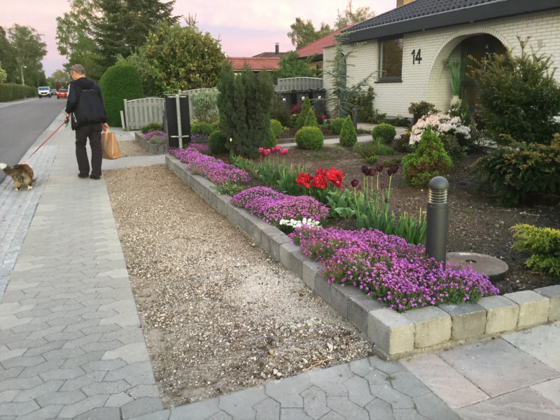 Мистер Чукен’с холлидей