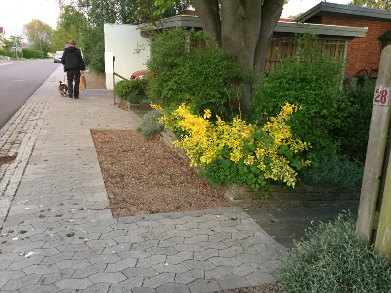 Мистер Чукен’с холлидей