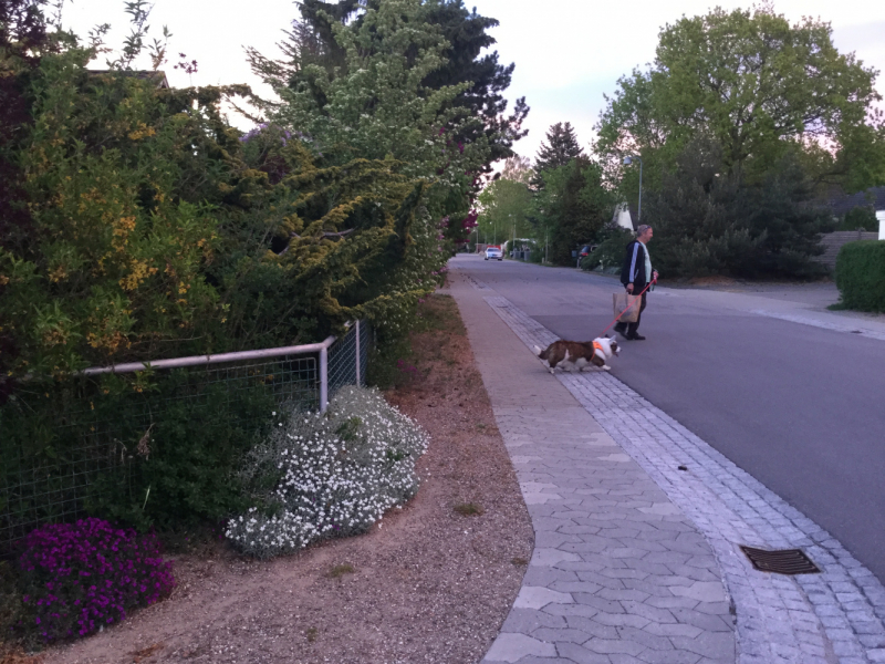 Мистер Чукен’с холлидей