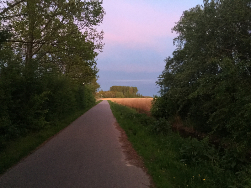 Мистер Чукен’с холлидей