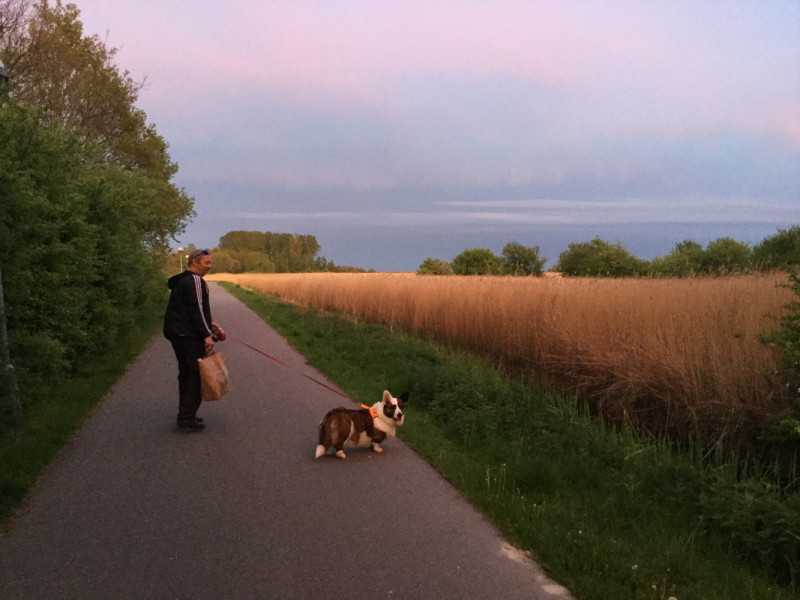 Мистер Чукен’с холлидей