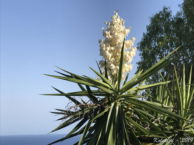 «Что-то пошло не так» – автотрип по Европе-2019, вопреки обстоятельствам.