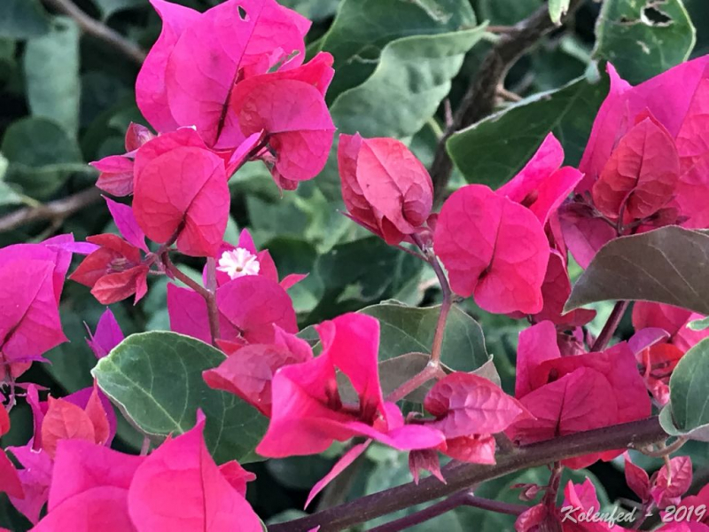 «Что-то пошло не так» – автотрип по Европе-2019, вопреки обстоятельствам.