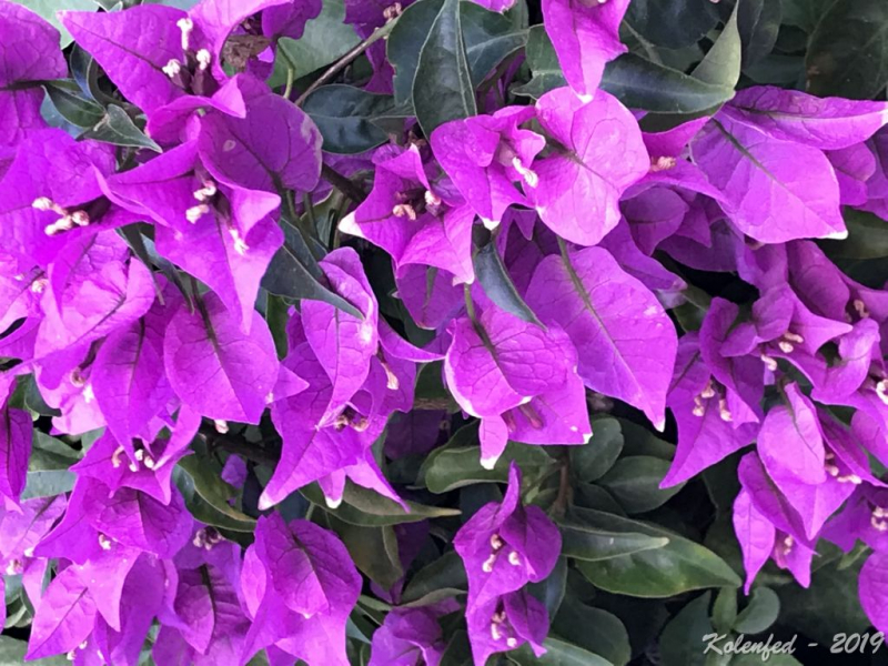 «Что-то пошло не так» – автотрип по Европе-2019, вопреки обстоятельствам.