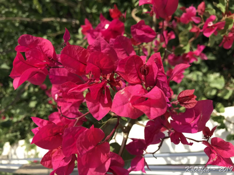 «Что-то пошло не так» – автотрип по Европе-2019, вопреки обстоятельствам.