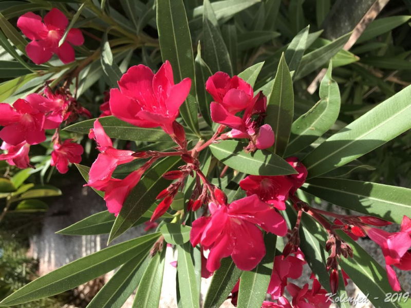 «Что-то пошло не так» – автотрип по Европе-2019, вопреки обстоятельствам.