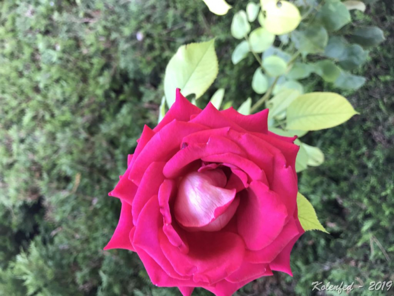 «Что-то пошло не так» – автотрип по Европе-2019, вопреки обстоятельствам.