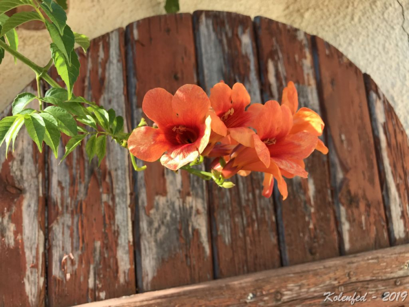 «Что-то пошло не так» – автотрип по Европе-2019, вопреки обстоятельствам.