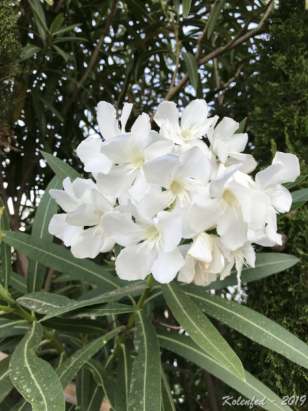 «Что-то пошло не так» – автотрип по Европе-2019, вопреки обстоятельствам.