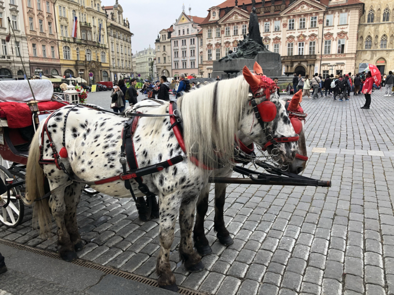 Прага скучная и никчёмная или Трдло тебе в бок!