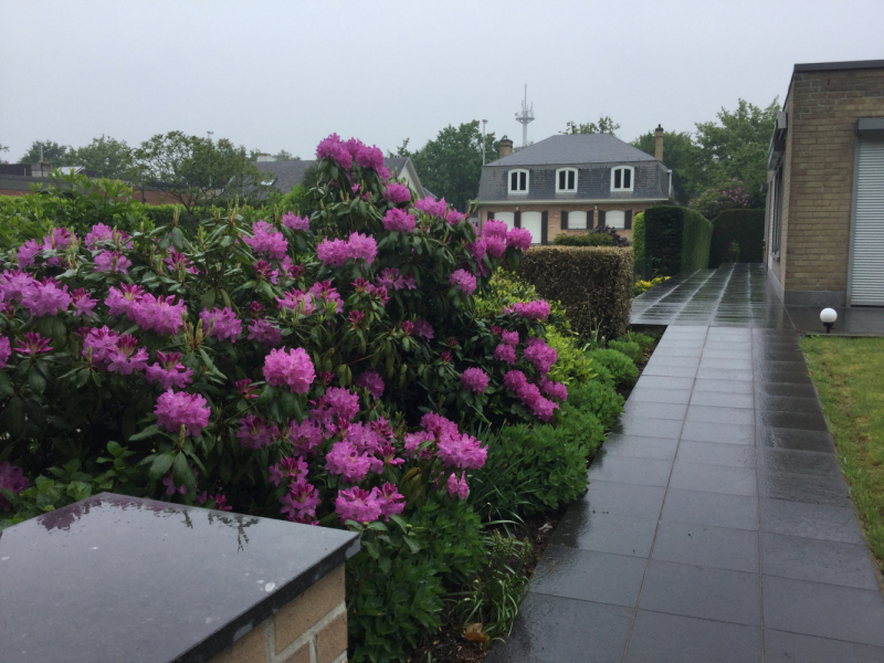 Мистер Чукен’с холлидей