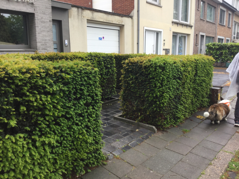 Мистер Чукен’с холлидей