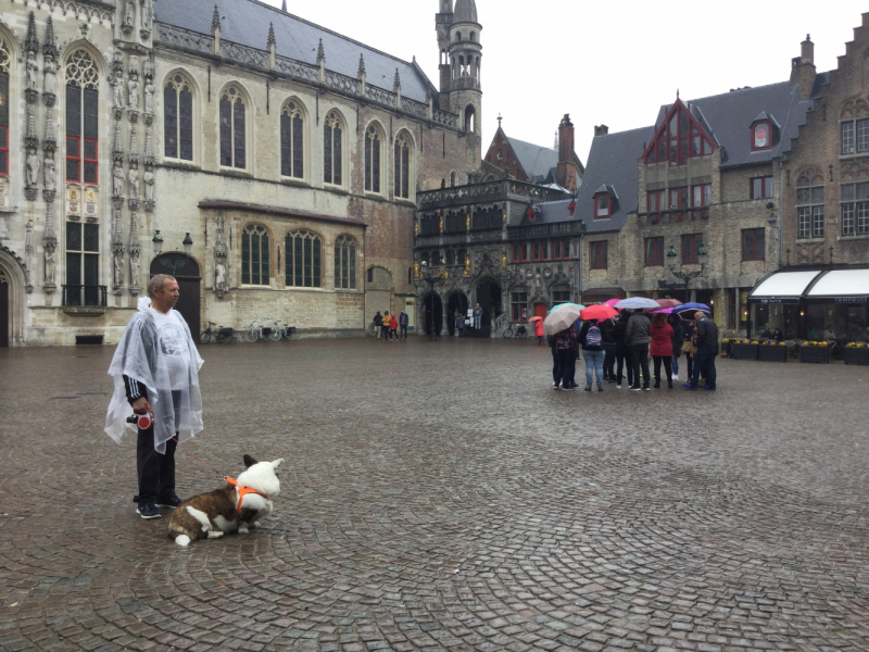 Мистер Чукен’с холлидей