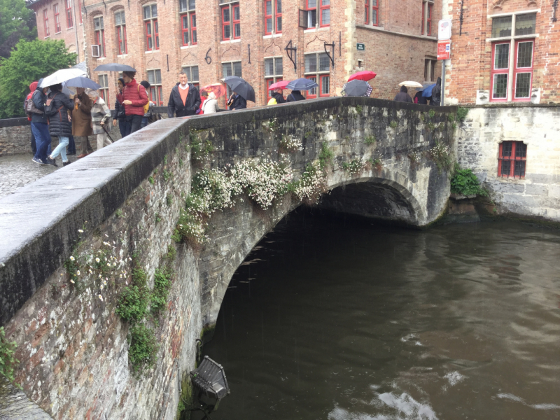 Мистер Чукен’с холлидей