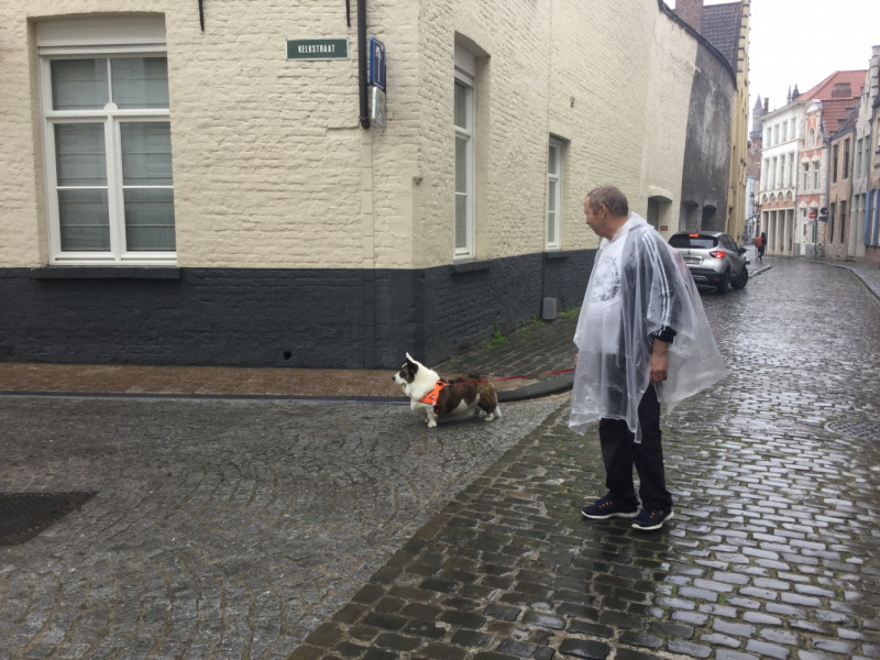 Мистер Чукен’с холлидей