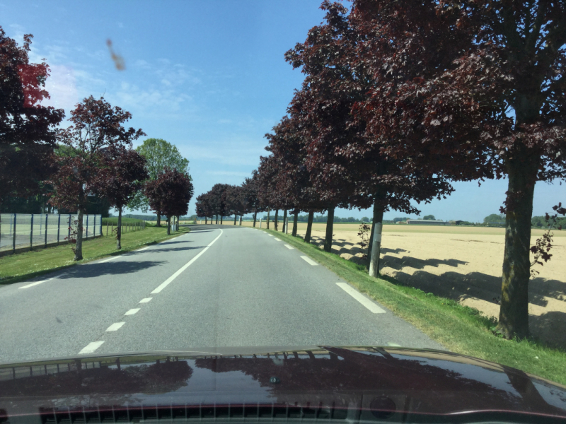 Мистер Чукен’с холлидей