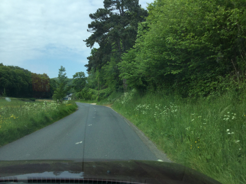 Мистер Чукен’с холлидей