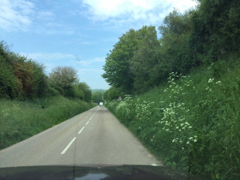 Мистер Чукен’с холлидей